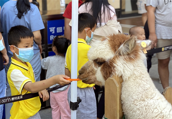 和记娱乐·H88(中国游)怡情博娱官网