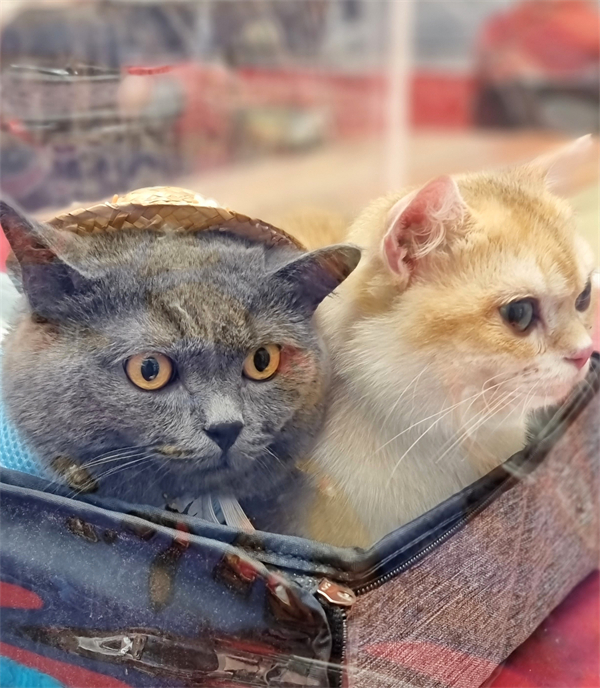 和记娱乐·H88(中国游)怡情博娱官网