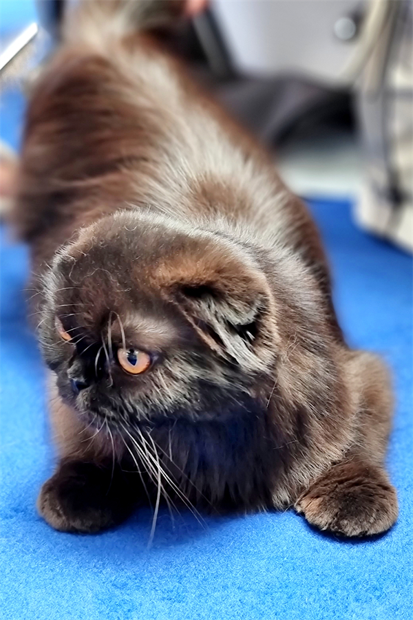 和记娱乐·H88(中国游)怡情博娱官网