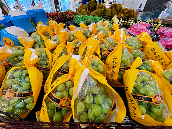 和记娱乐·H88(中国游)怡情博娱官网