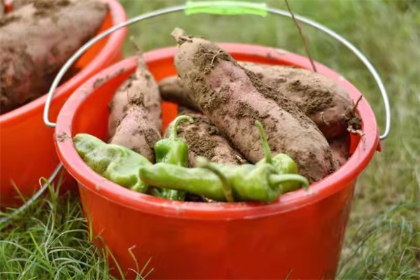 和记娱乐·H88(中国游)怡情博娱官网