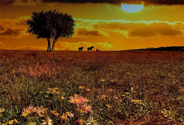 和记娱乐·H88(中国游)怡情博娱官网