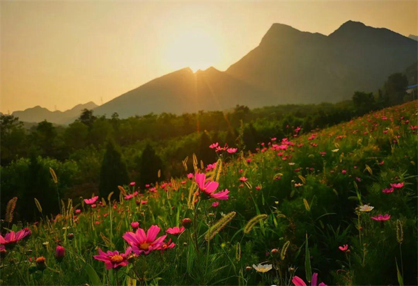 和记娱乐·H88(中国游)怡情博娱官网