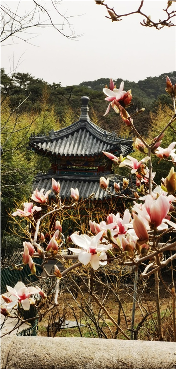 和记娱乐·H88(中国游)怡情博娱官网