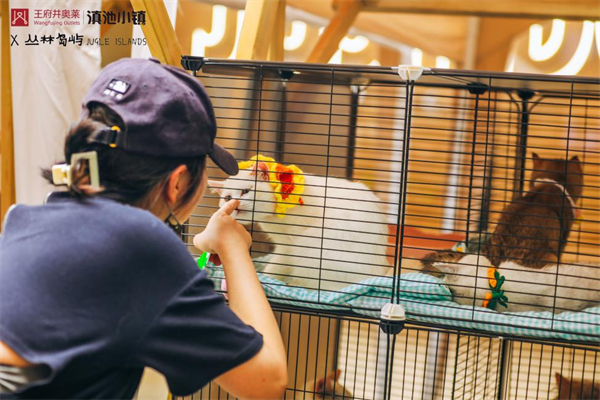 和记娱乐·H88(中国游)怡情博娱官网